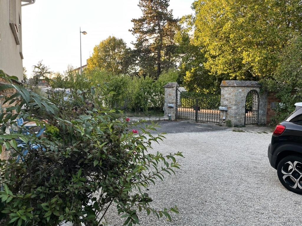 Studio with Garden View