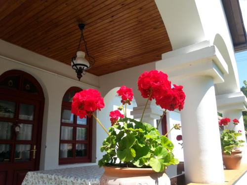 Two-Bedroom Apartment with Terrace photo 2