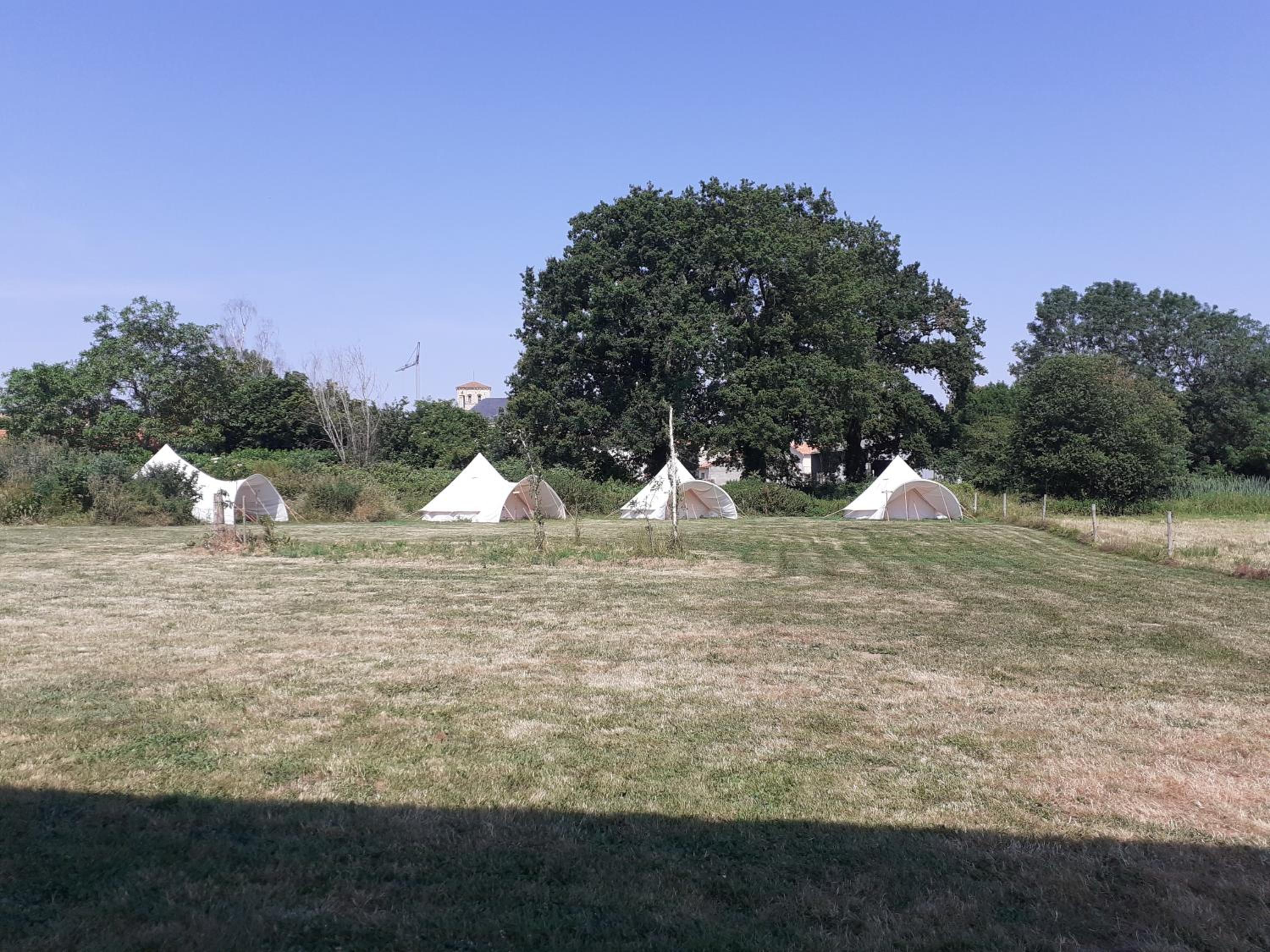 TENT 4 photo 3