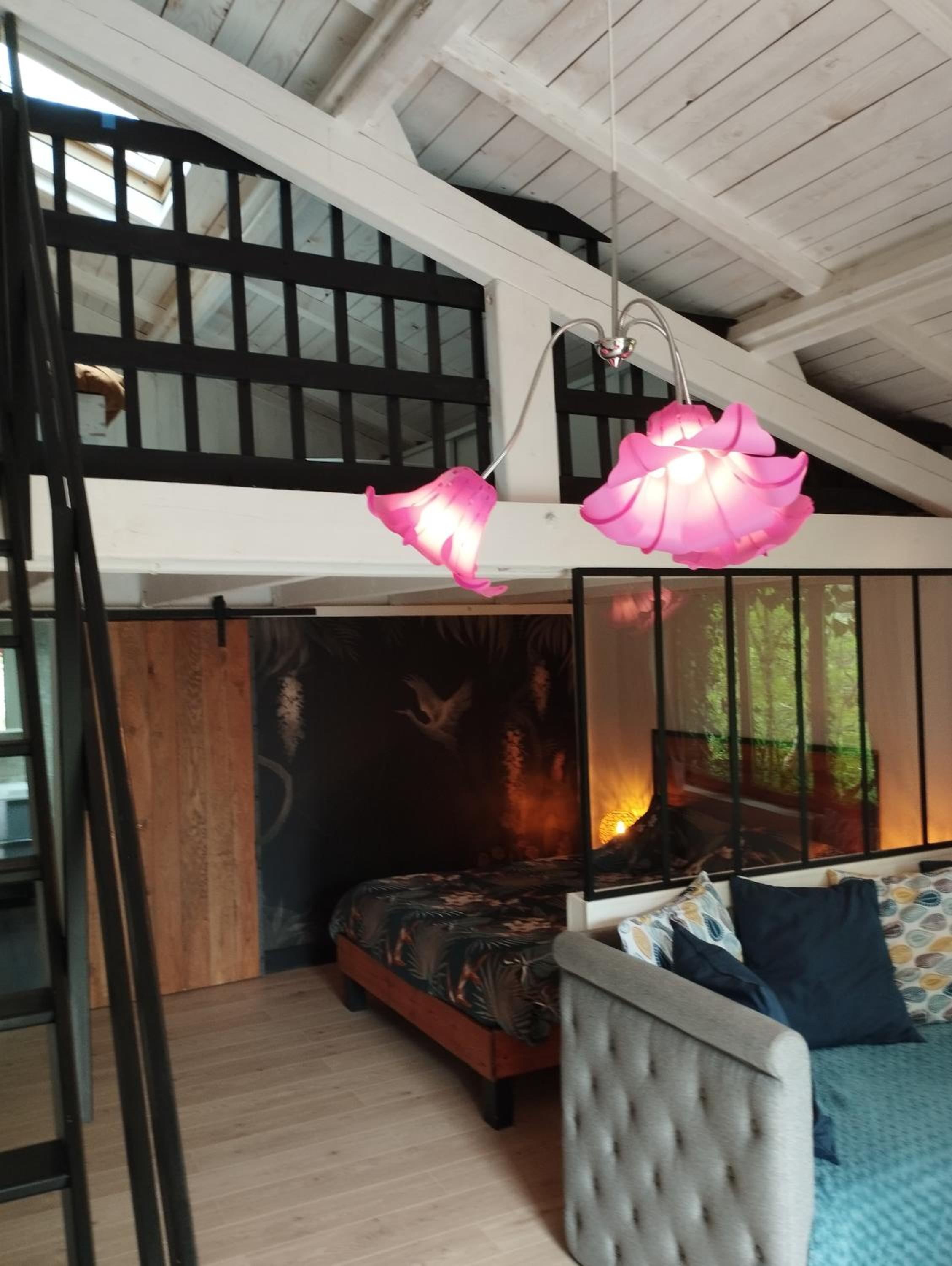 Comfort Suite - Photo 14
