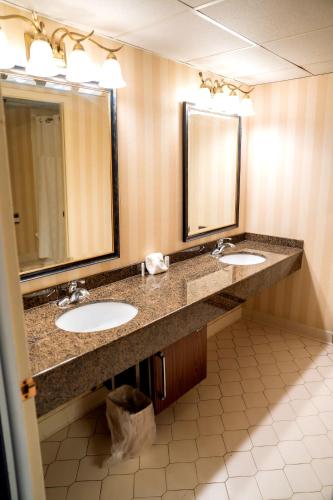 Deluxe Queen Suite photo 1