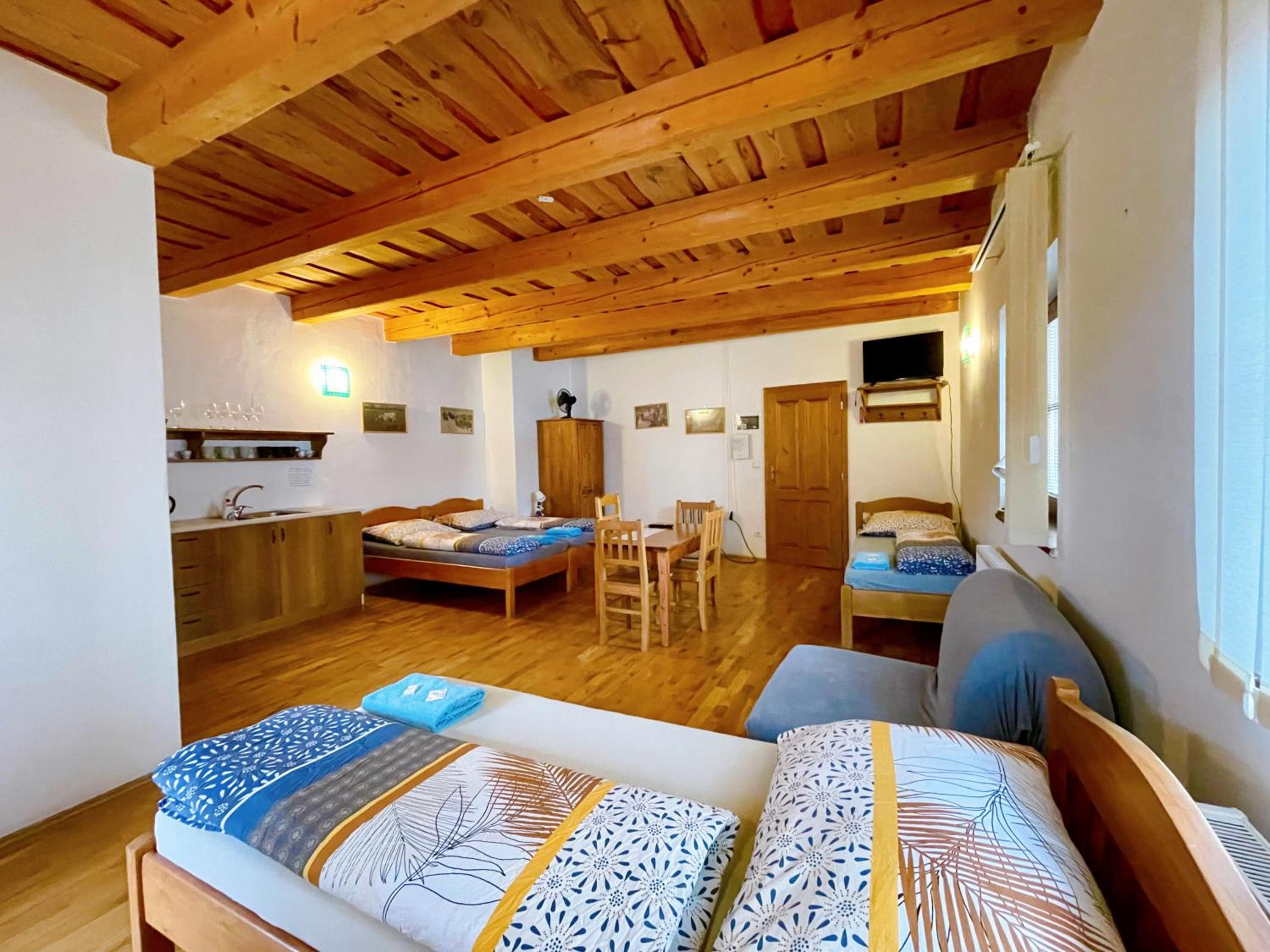 Studio with Terrace photo 2