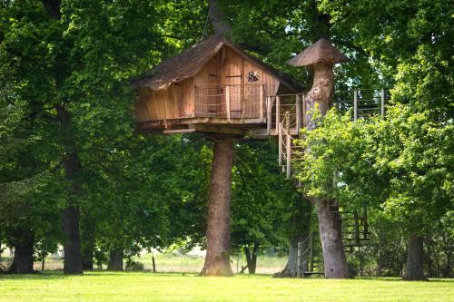 Family Tree House photo 2