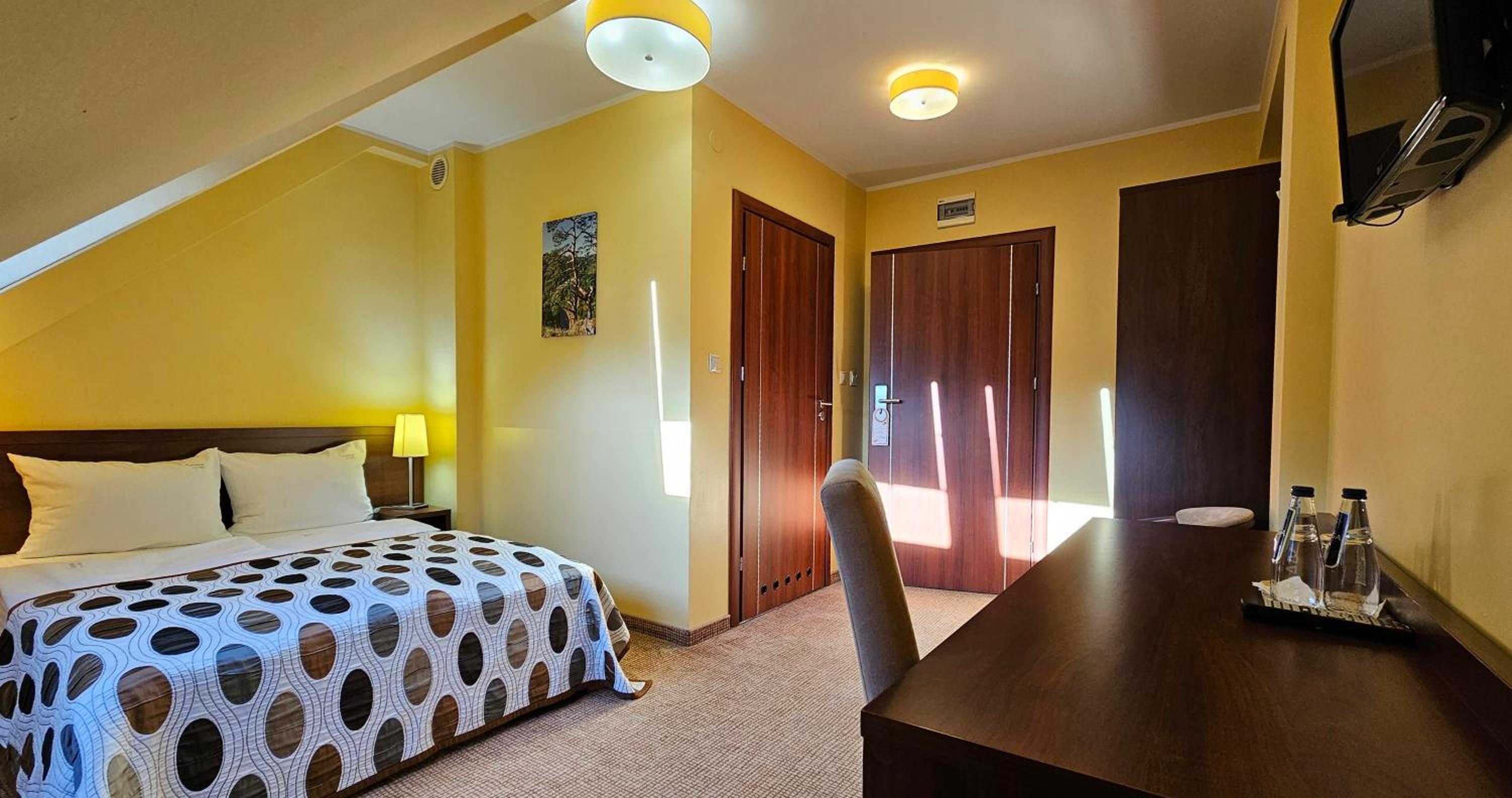 Single Room photo 1