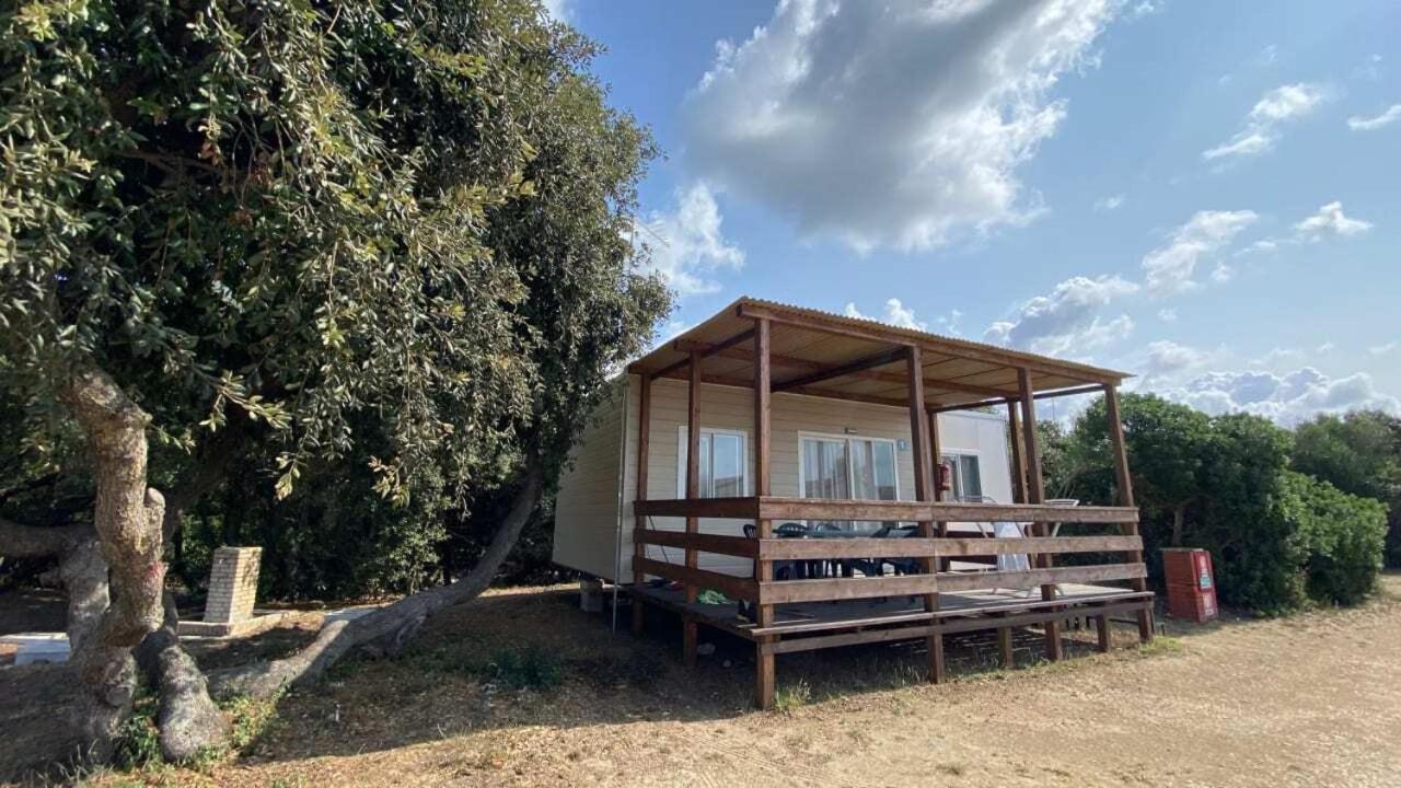 Mobile Home photo 1