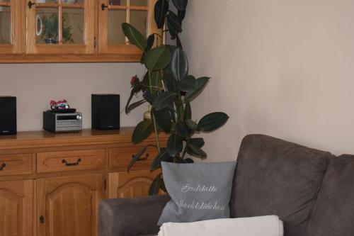 Apartment - Ground Floor photo 1