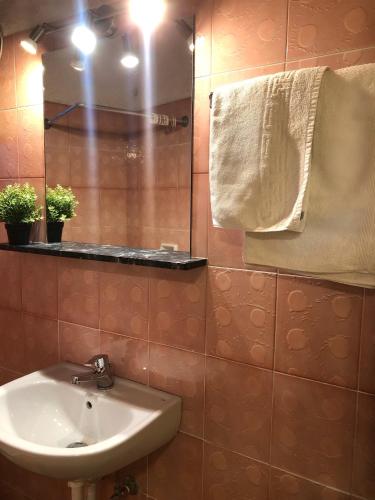 Double Room with Garden View photo 1