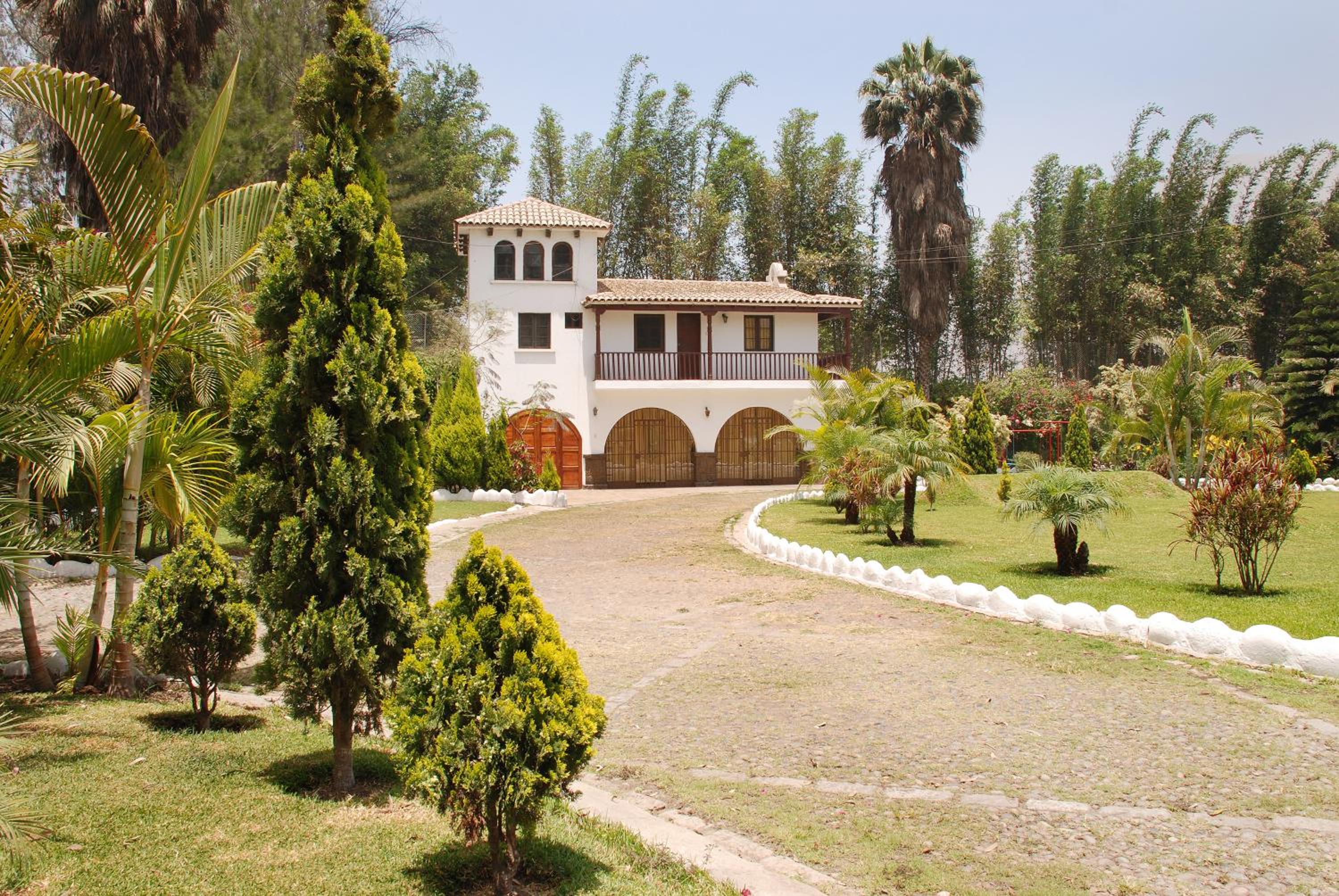 Deluxe Bungalow with Garden View photo 3