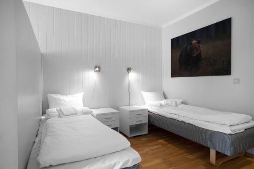 Apartment - Ground Floor photo 1