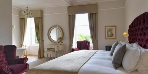 Superior King Room photo 1