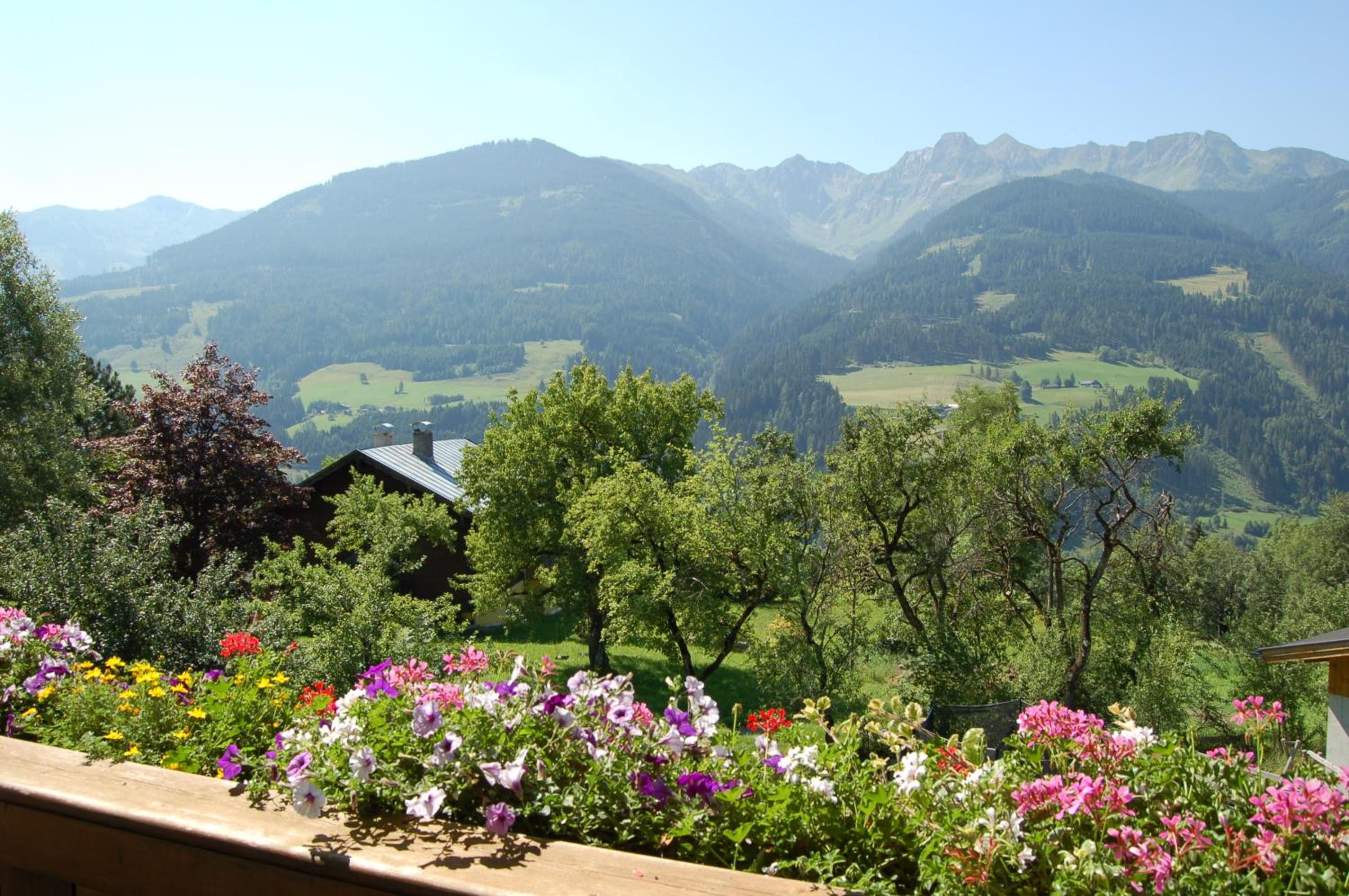 Double Room with Mountain View