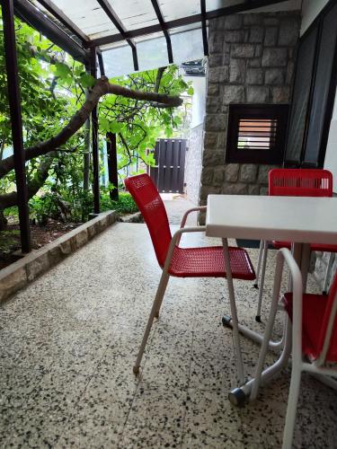 Studio with Garden View