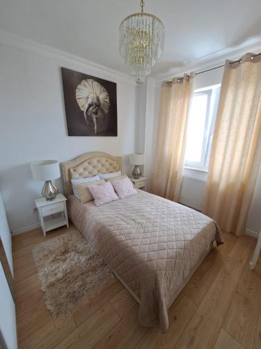 One-Bedroom Apartment - Photo 2