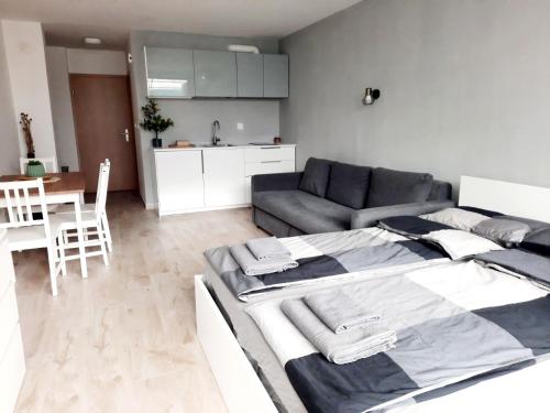Studio Apartment photo 2