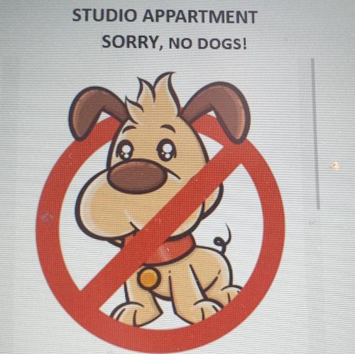 Studio Apartment