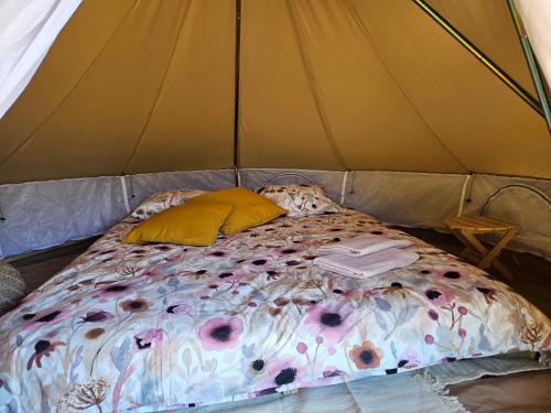 Tent photo 2