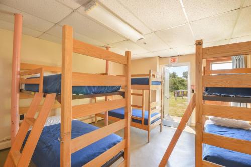 Bed in Men's 7-Bed Dormitory photo 3