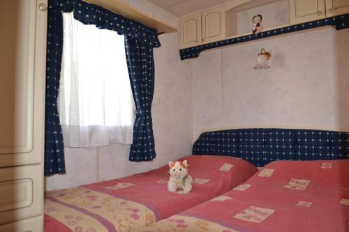 Classic Plus 2-Bedroom Mobile Home photo 2