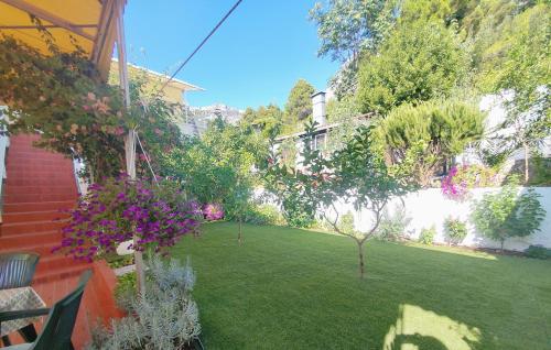 Apartment with Sea View photo 2