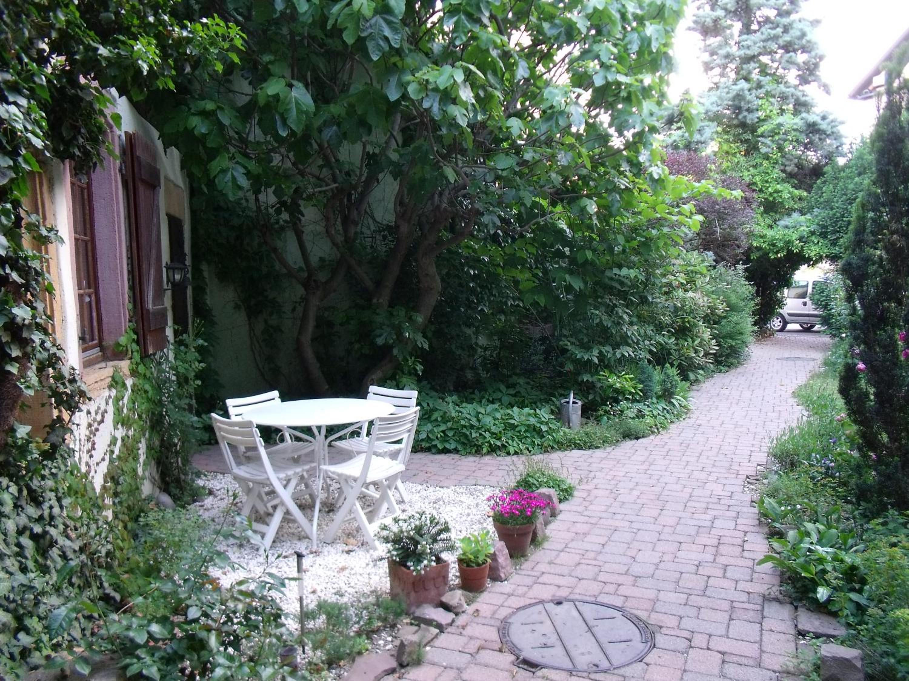Apartment - Ground Floor