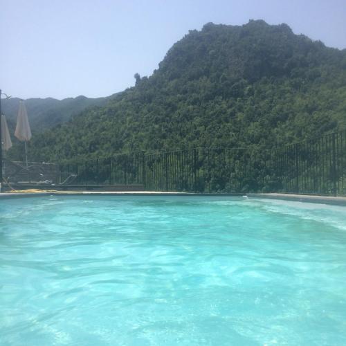 Apartment with Pool View