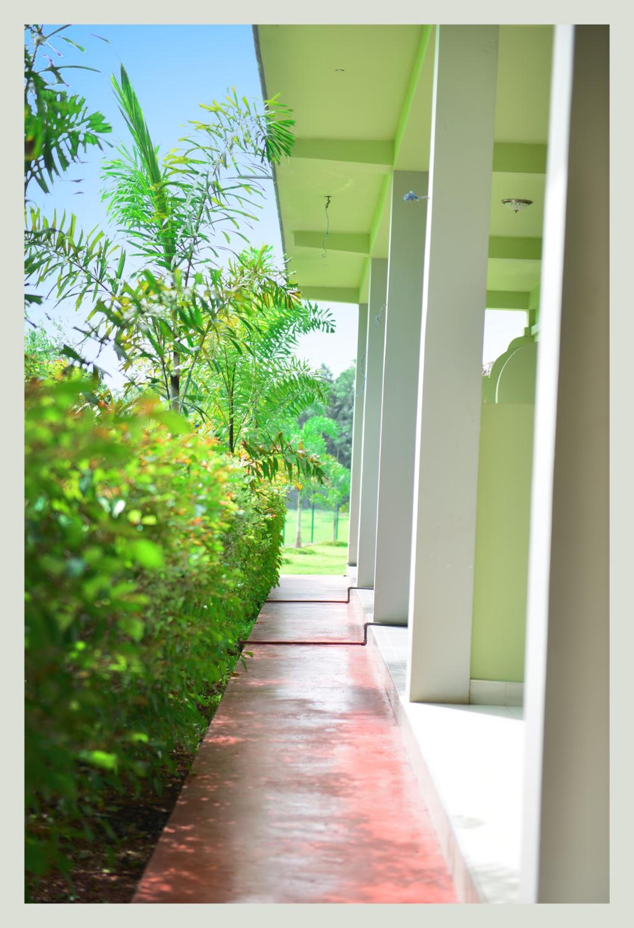 Standard Double or Twin Room with Garden View photo 1