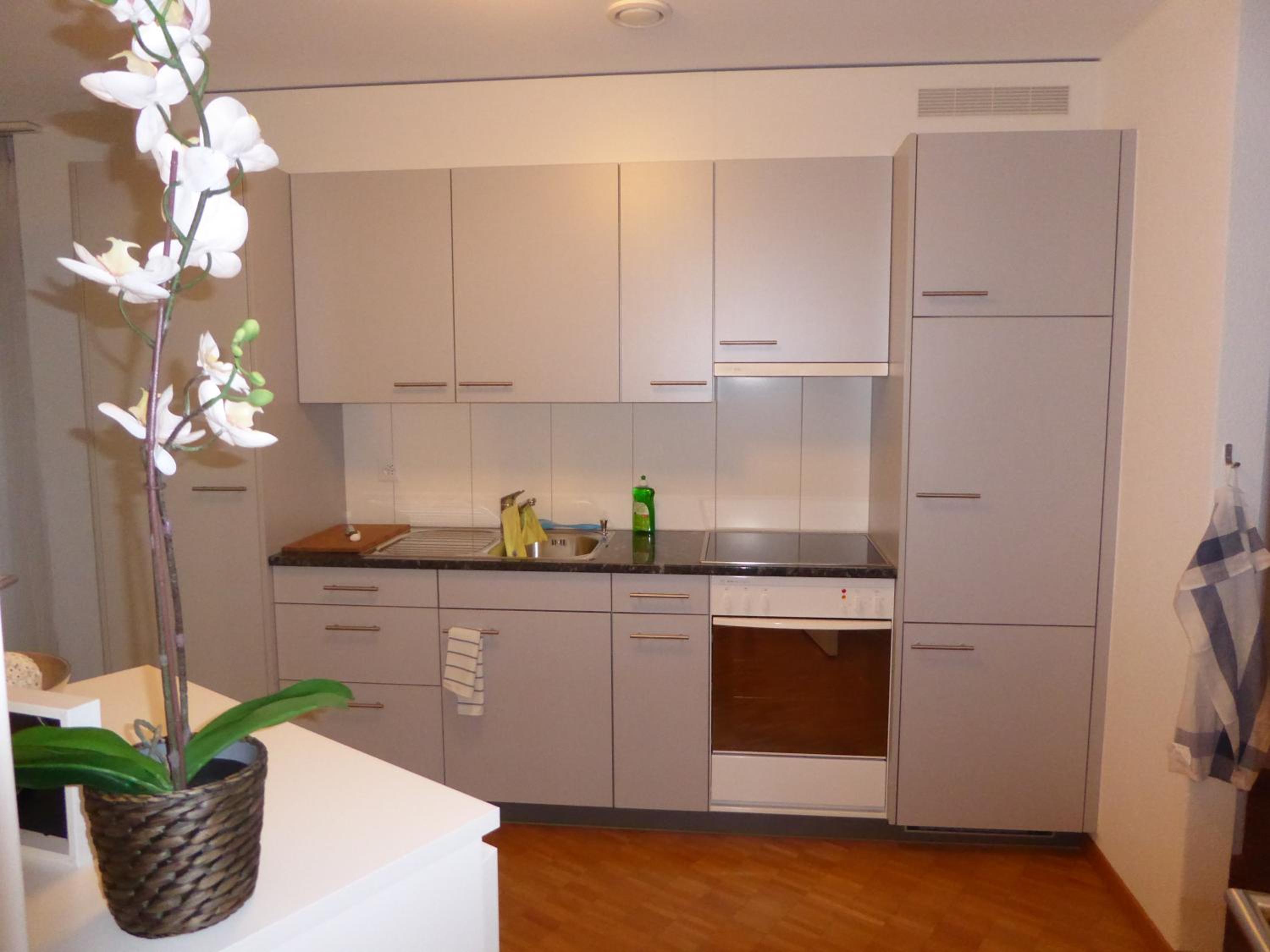 Apartment 1 with one bedroom and balcony photo 1