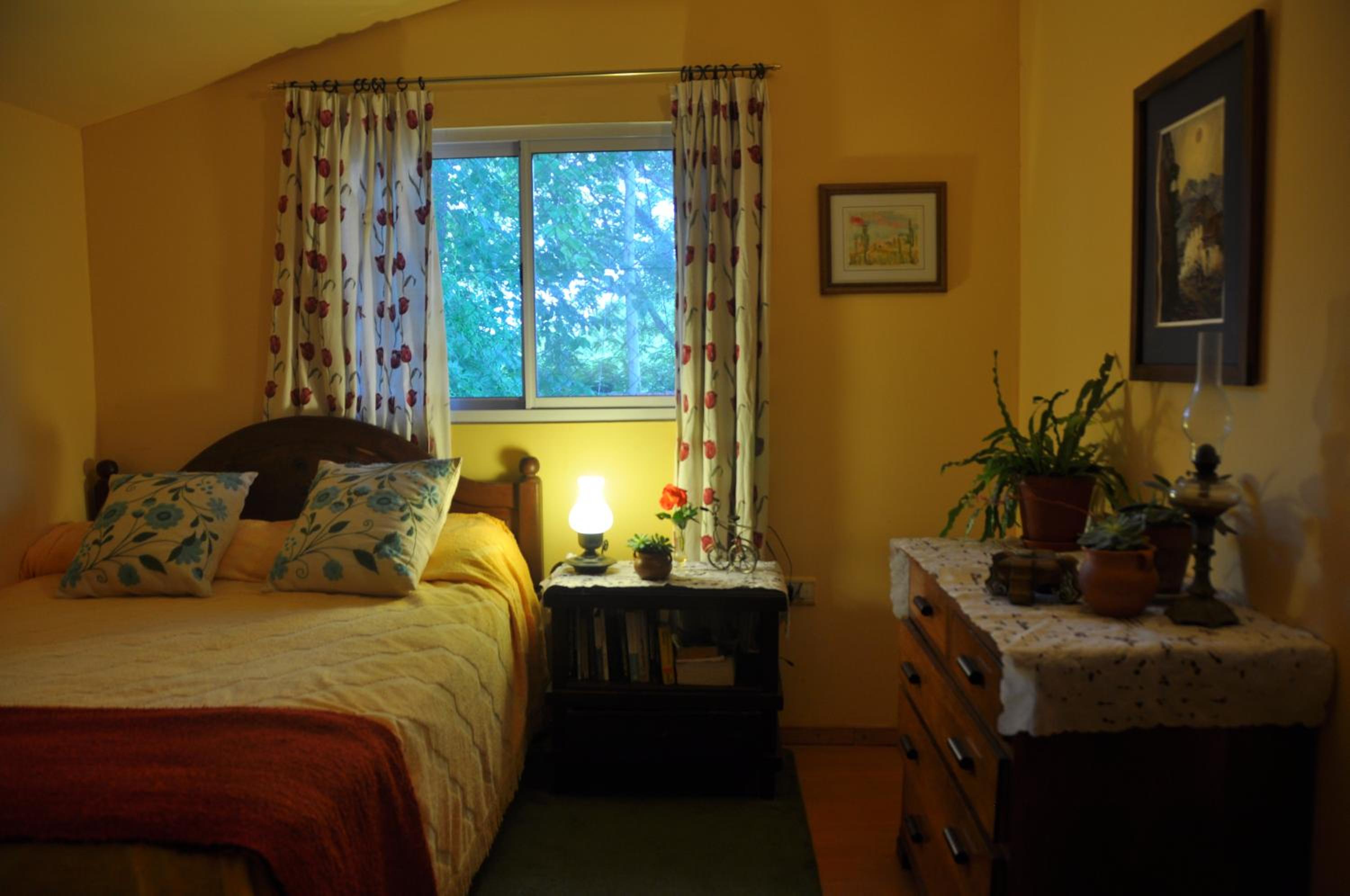 Double Room with Garden View photo 2