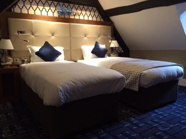 Twin/Double Room