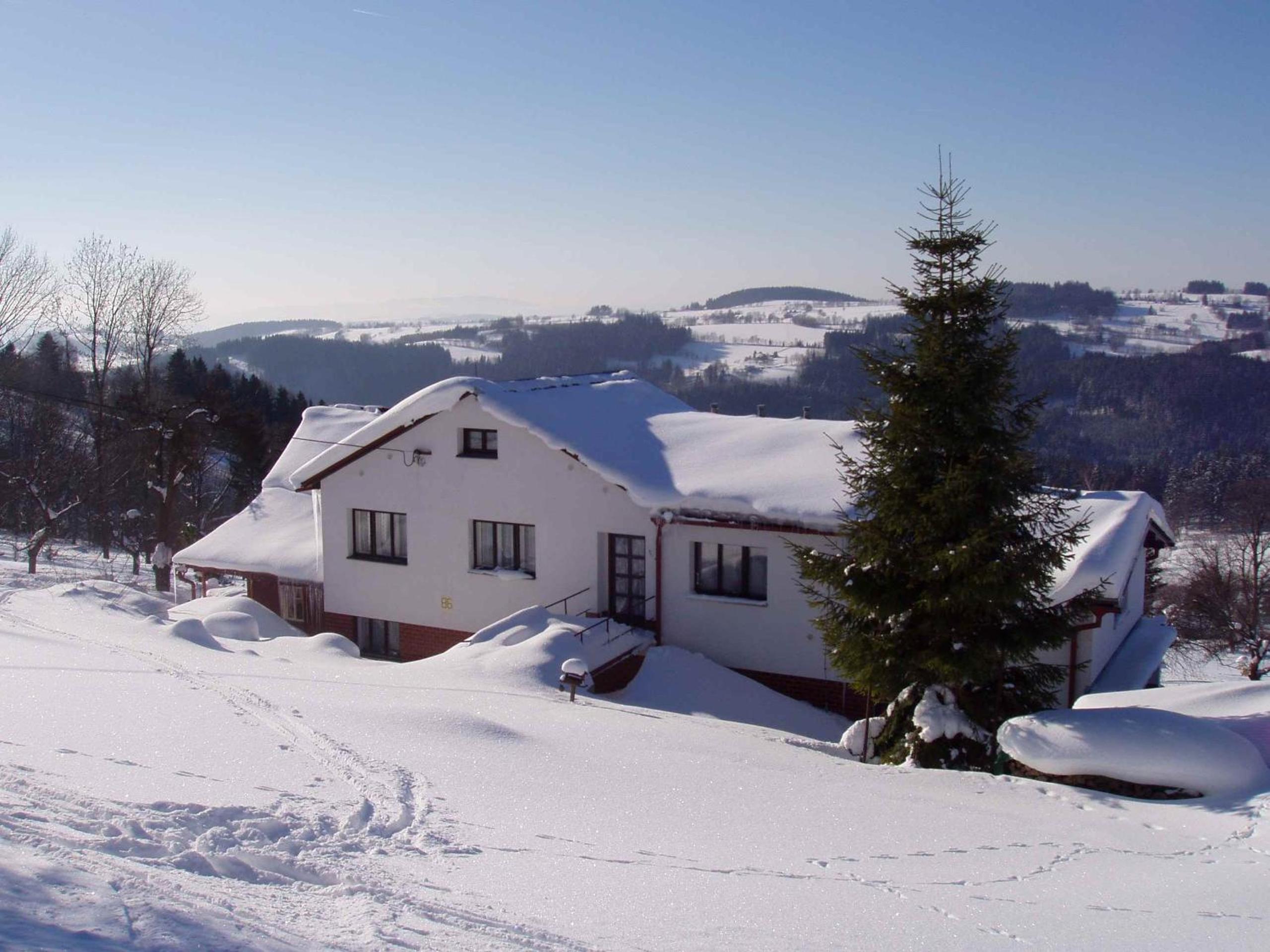 Five Room Apartment with Mountain View and Fireplace photo 1