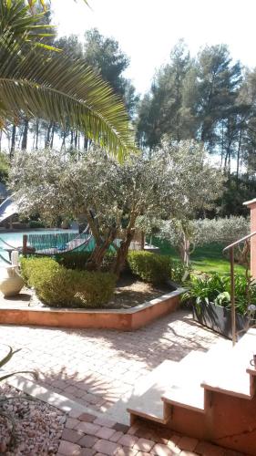 Double Room with Pool View - Photo 2