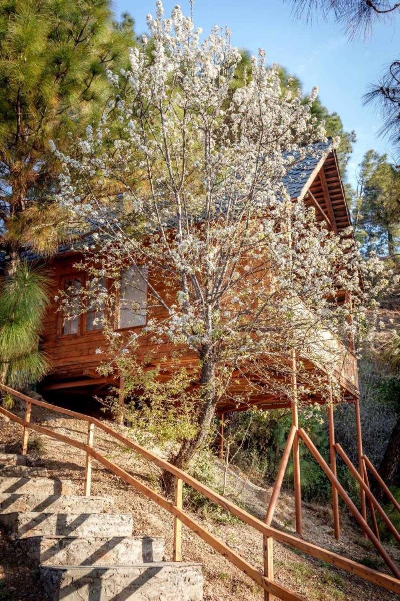One-Bedroom Chalet photo 2