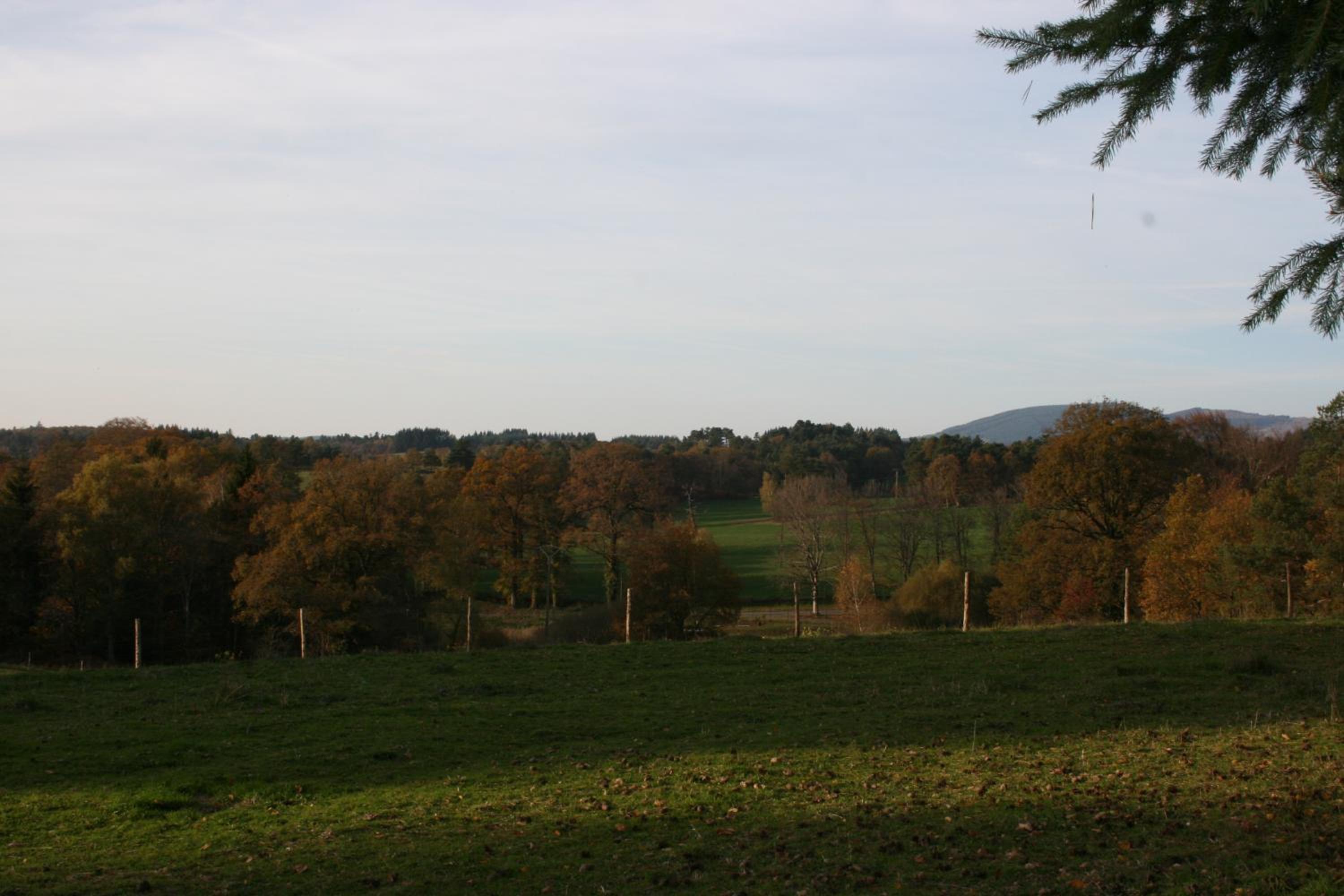 Chalet 5 - Photo 6