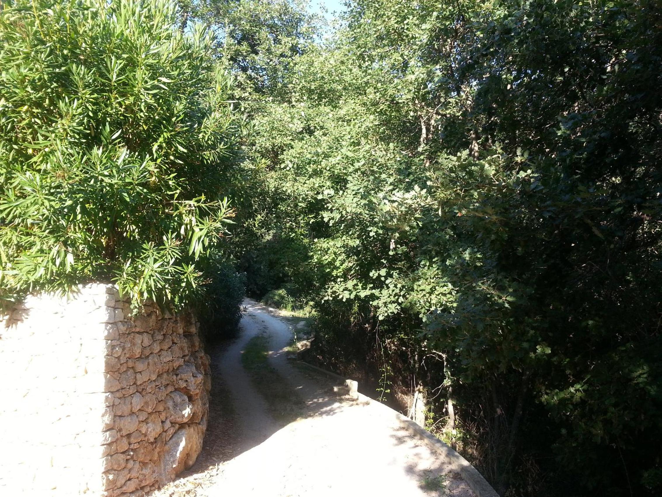 Villa with Sea View photo 3