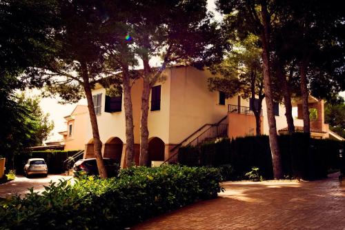 Apartment with Terrace photo 3