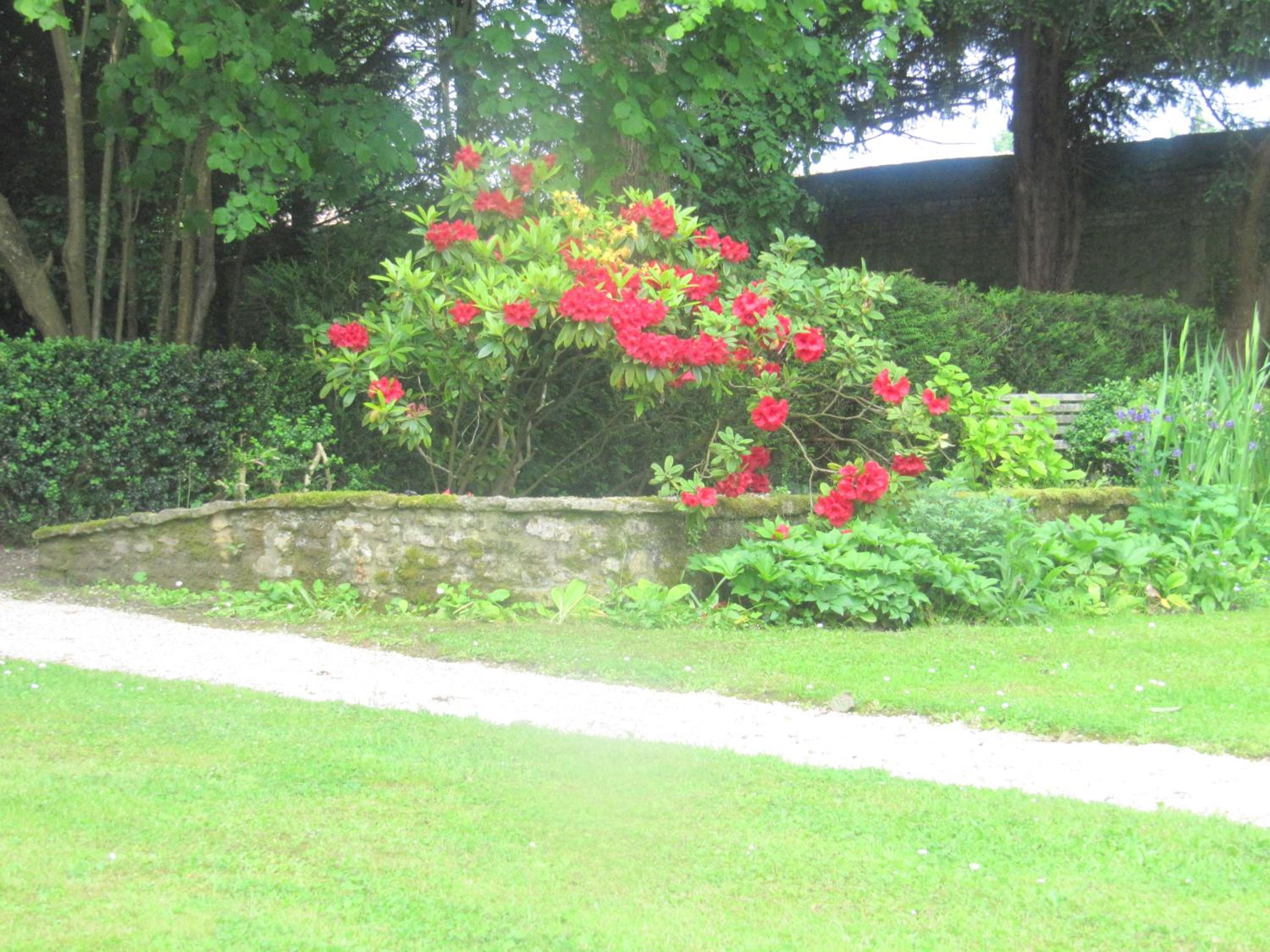 Superior Double or Twin Room with Garden View photo 1