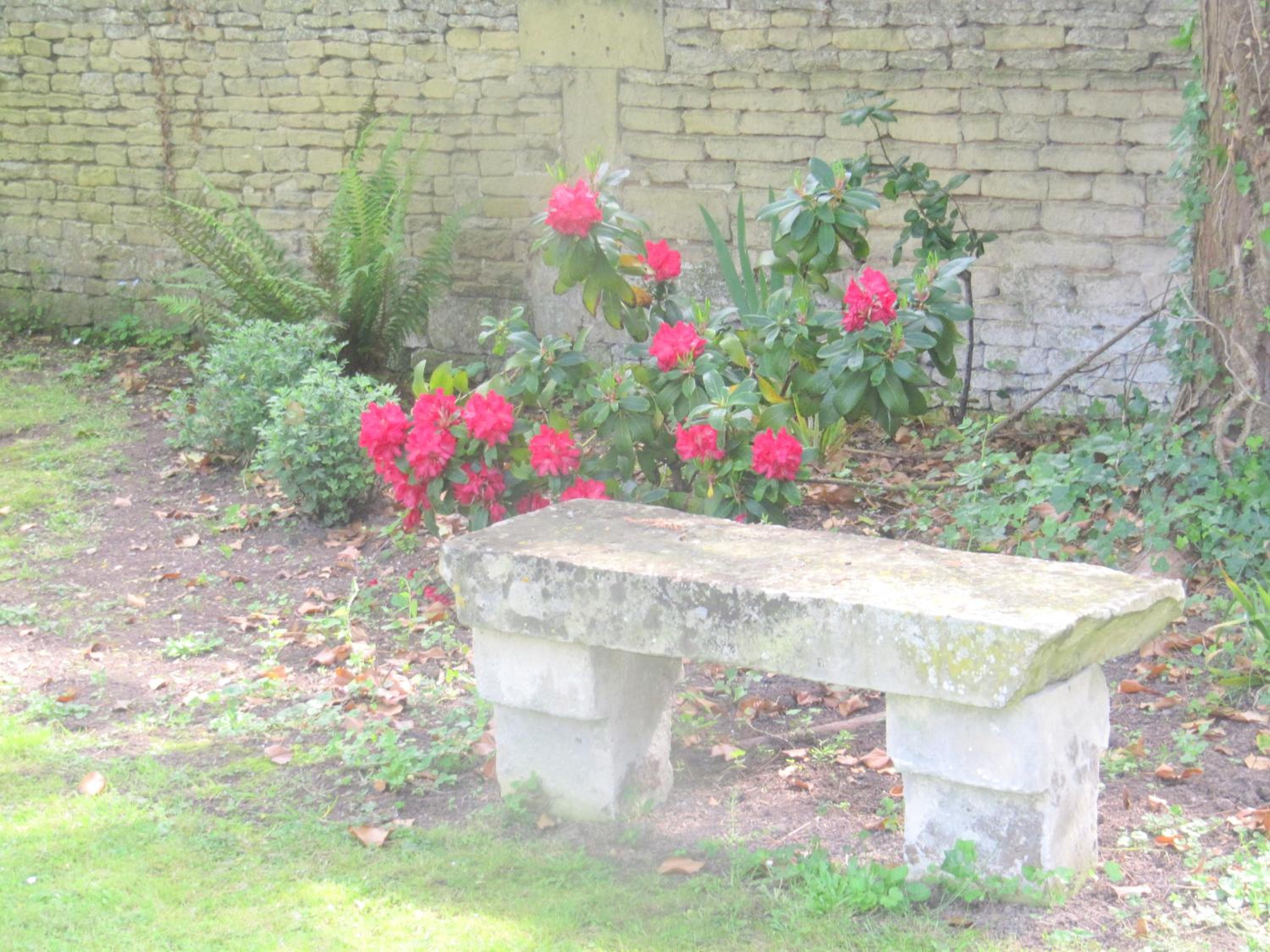 Superior Double or Twin Room with Garden View photo 2