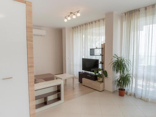 Two Bedroom Apartment  photo 2
