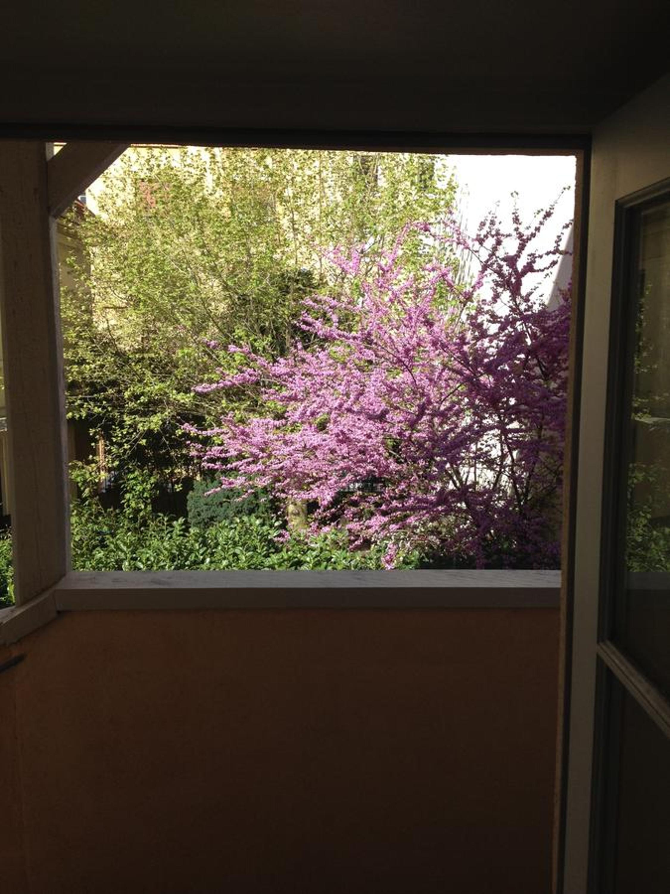 Apartment - Photo 21