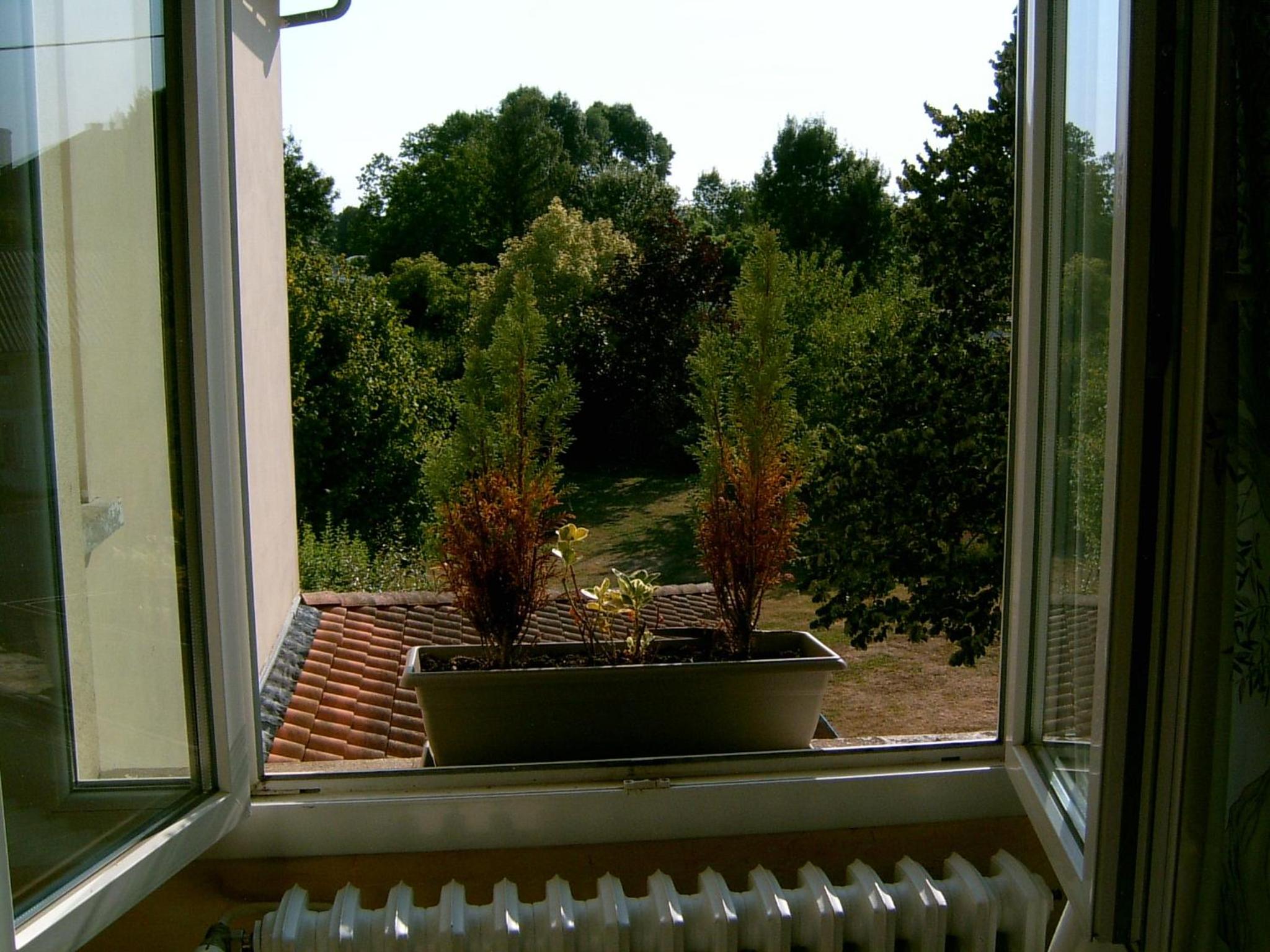 Basic Double Room - Photo 4