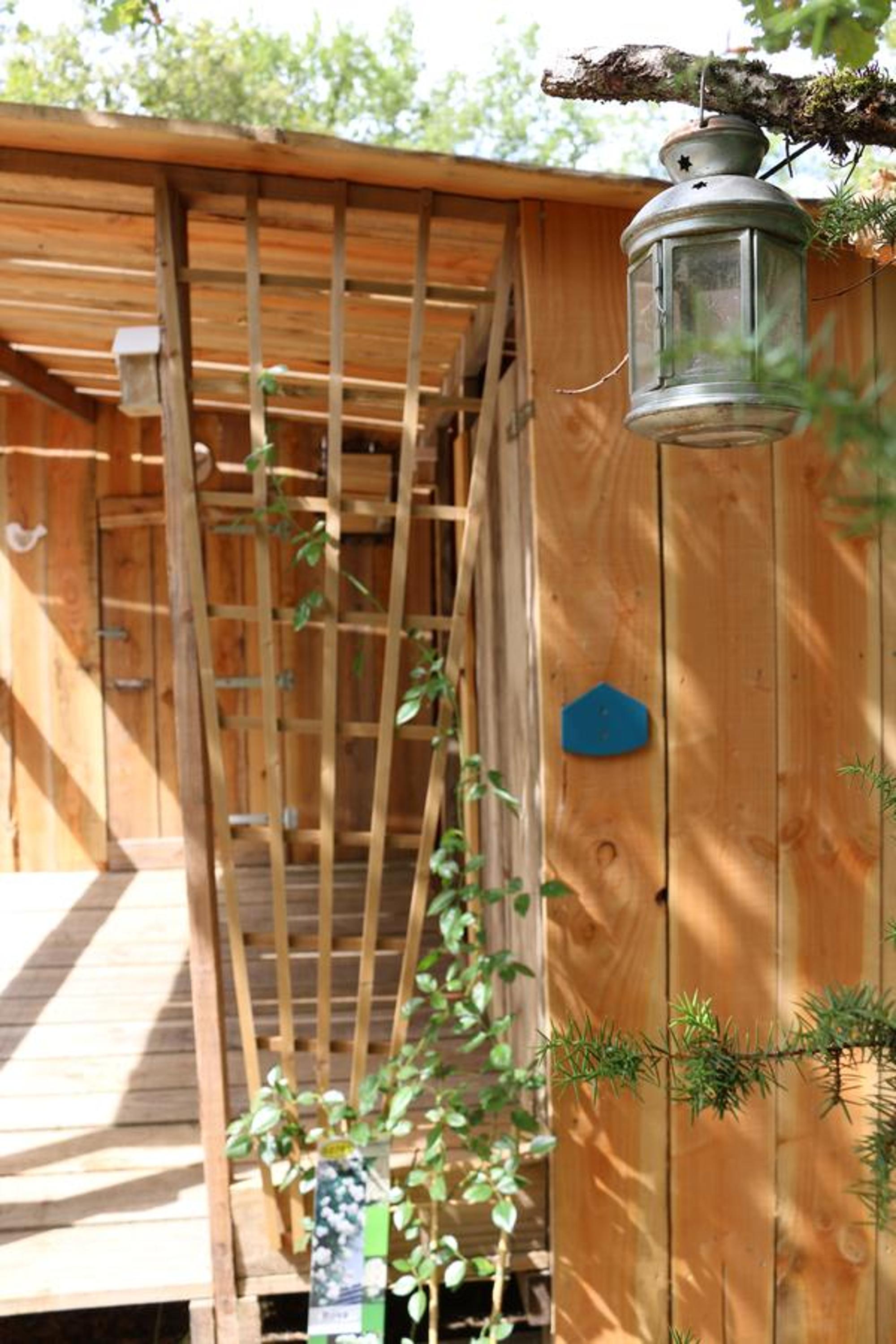 Yurt photo 3