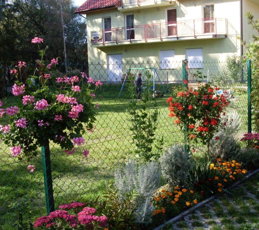 Duplex Apartment photo 3