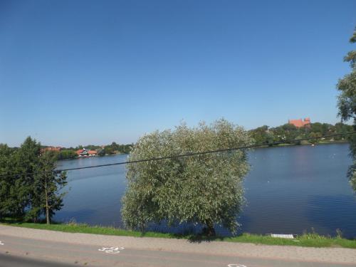 Apartment - Photo 12