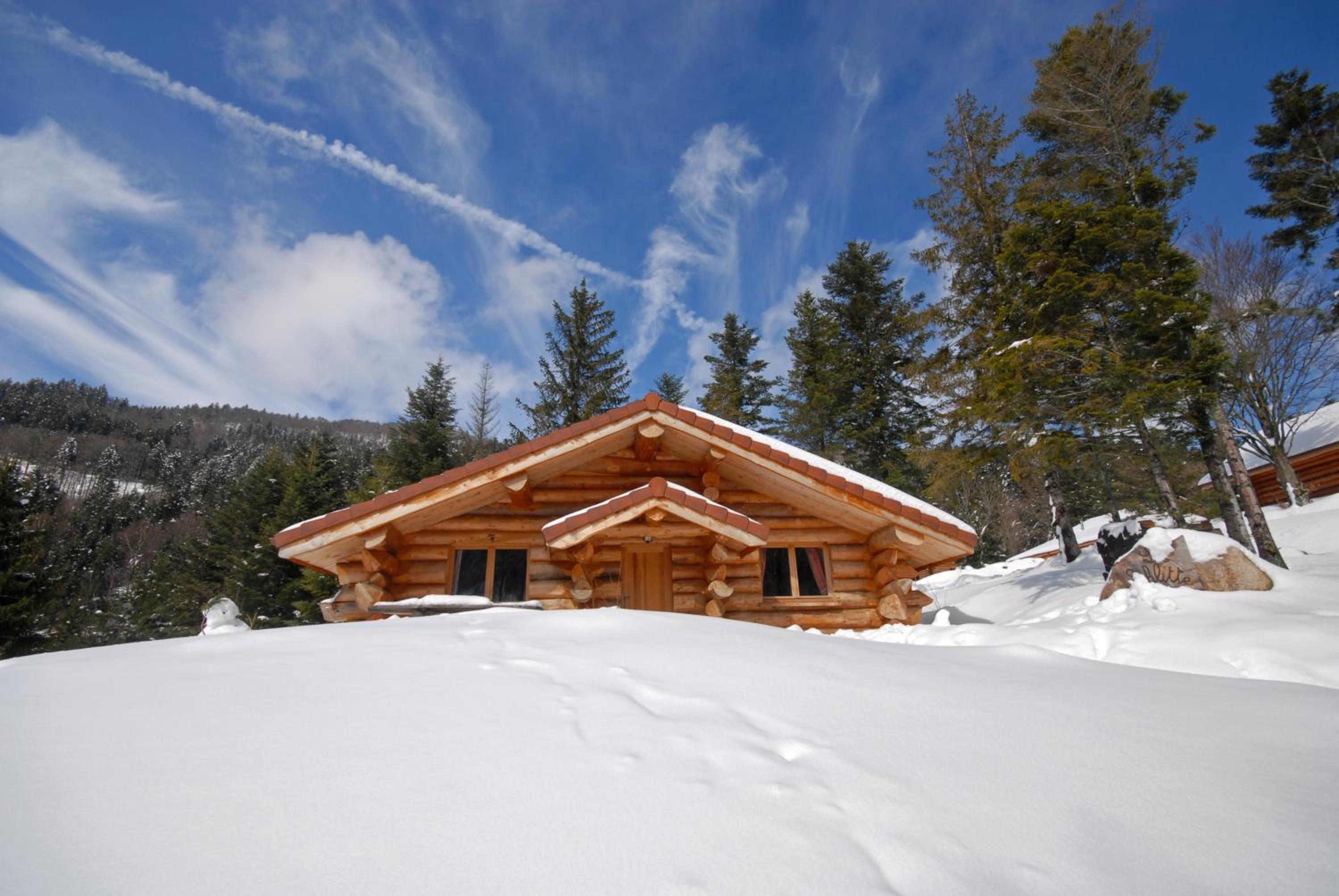Chalet (4 Adults) photo 2