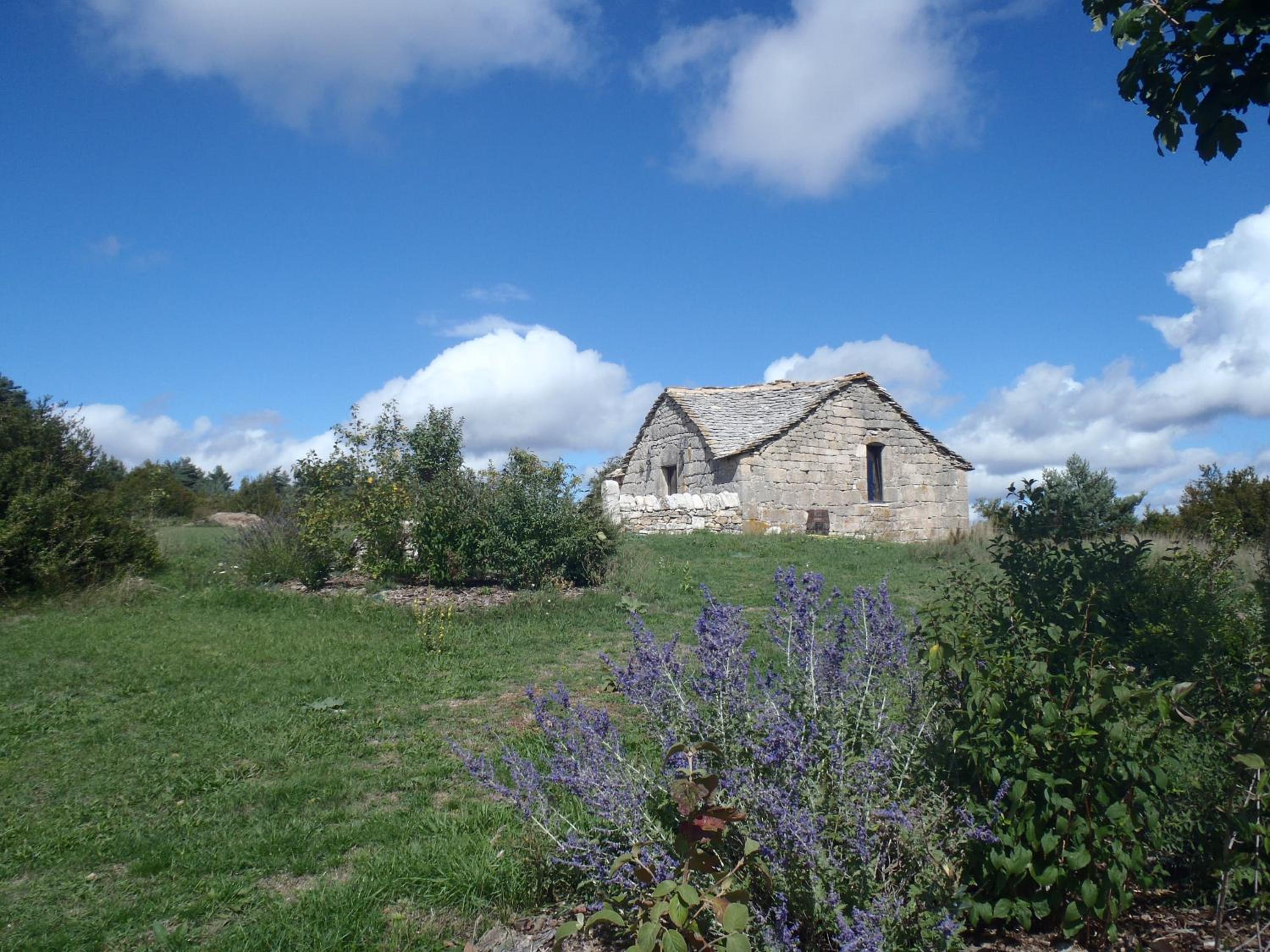 Holiday Home photo 1