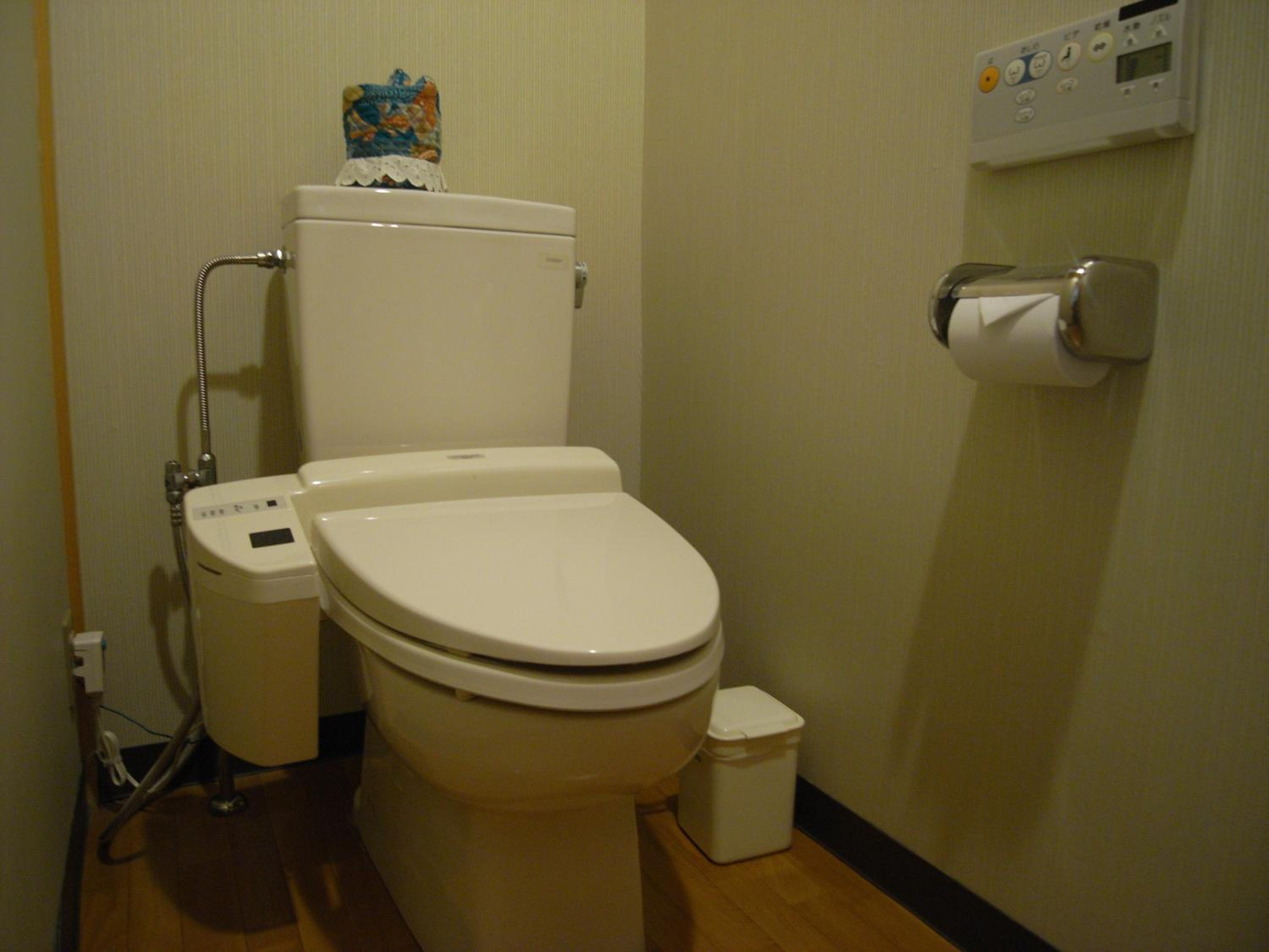 Japanese-Style Room with Shared Bathroom photo 3