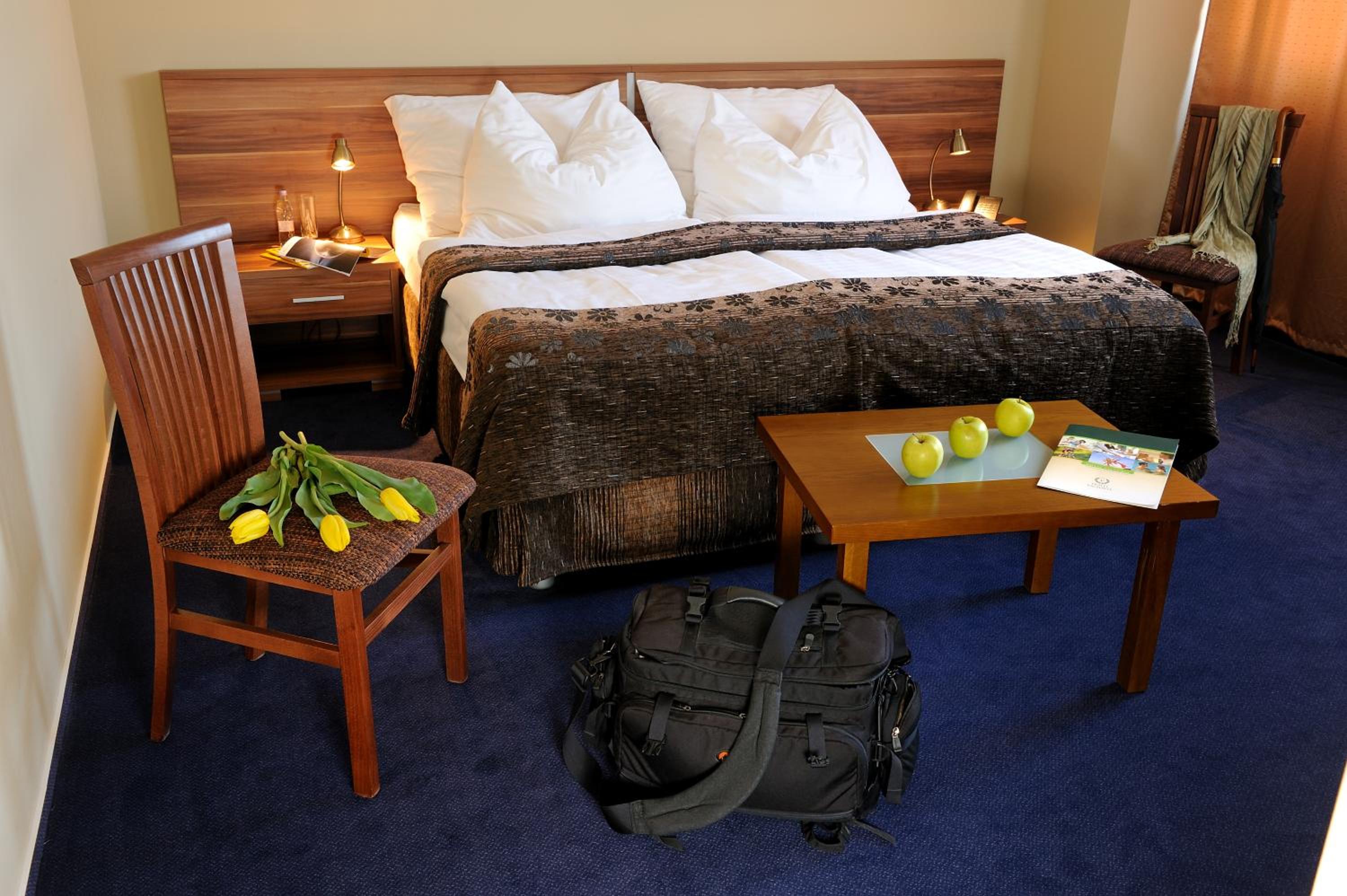 Double or Twin Room photo 1