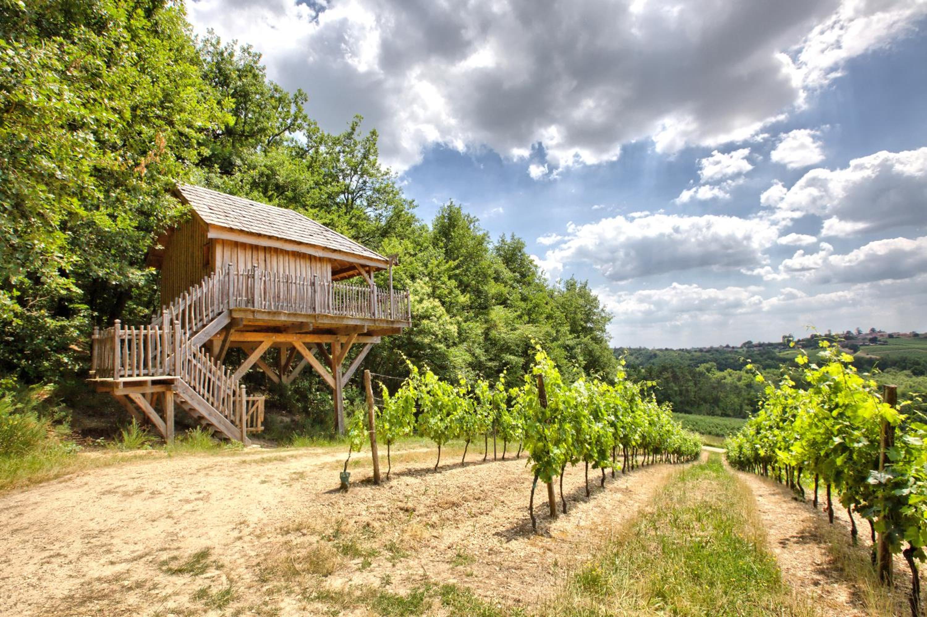 Superior Chalet photo 2