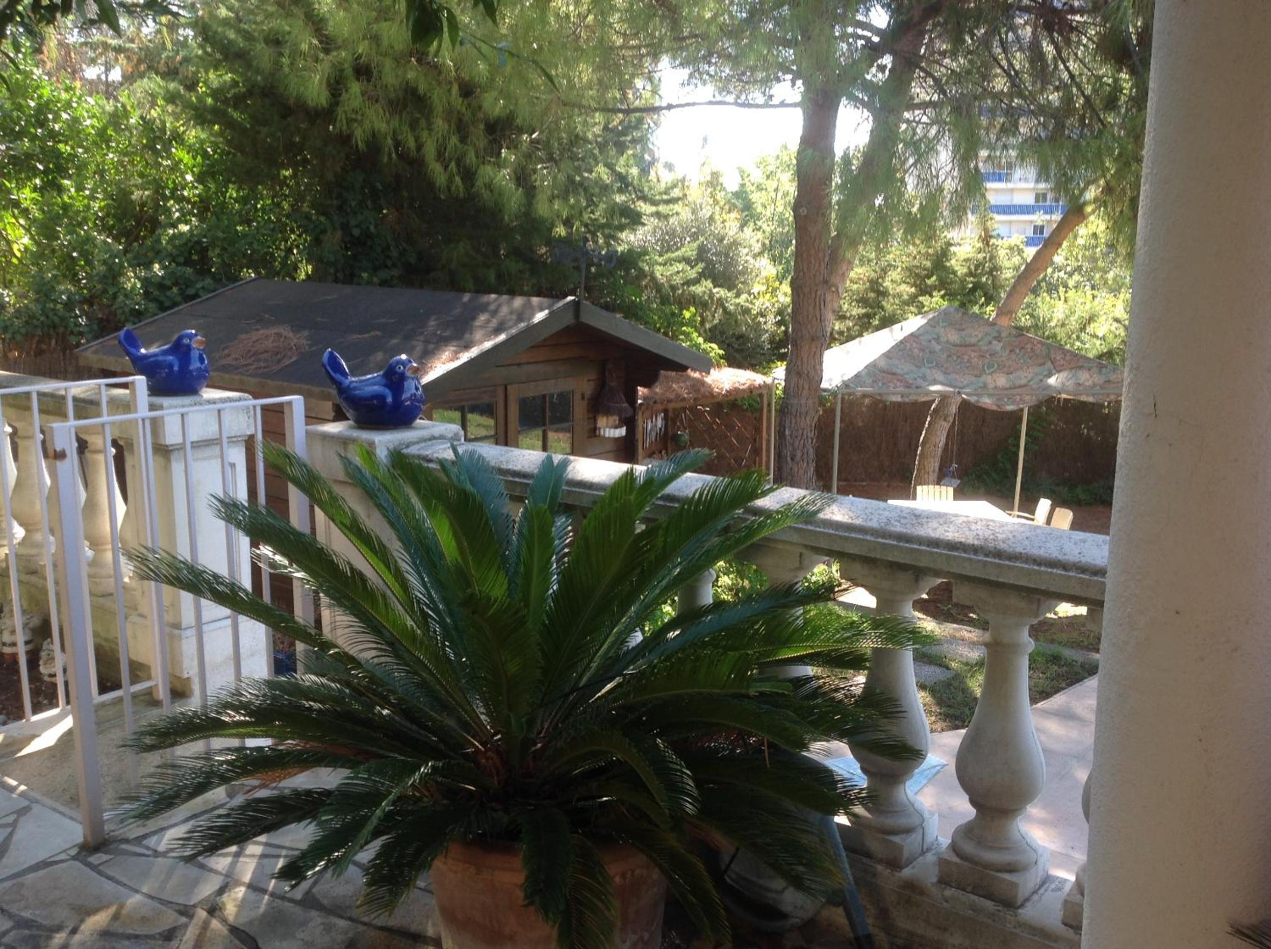Double Room with Garden View