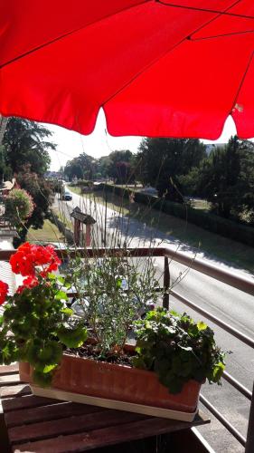 Double Room with Balcony photo 2